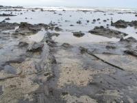 Albums/20060200-New Zealand 2006/20060313-Catlins/24